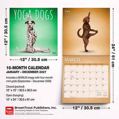2027 BrownTrout Yoga Dogs 12" x 12" Monthly Wall Calendar (9798330713523)