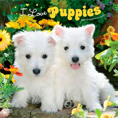 2027 BrownTrout I Love Puppies 12 x 12 Monthly Wall Calendar (9798330711833)