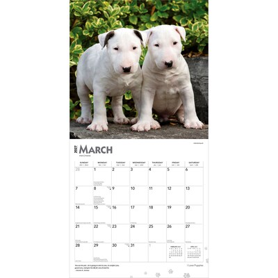 2027 BrownTrout I Love Puppies 12" x 12" Monthly Wall Calendar (9798330711833)