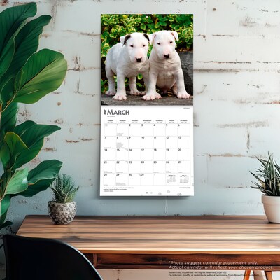 2027 BrownTrout I Love Puppies 12" x 12" Monthly Wall Calendar (9798330711833)