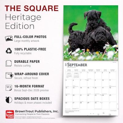 2027 BrownTrout I Love Puppies 12" x 12" Monthly Wall Calendar (9798330711833)