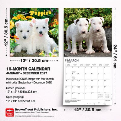 2027 BrownTrout I Love Puppies 12" x 12" Monthly Wall Calendar (9798330711833)