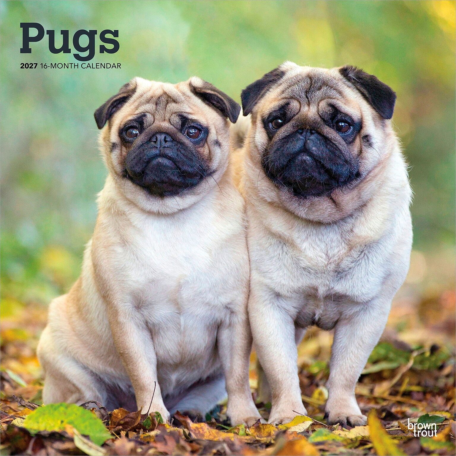 2027 BrownTrout Pugs 12 x 12 Monthly Wall Calendar (9798330712601)