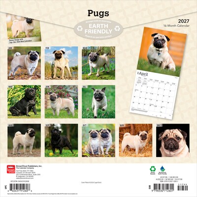 2027 BrownTrout Pugs 12 x 12 Monthly Wall Calendar (9798330712601)