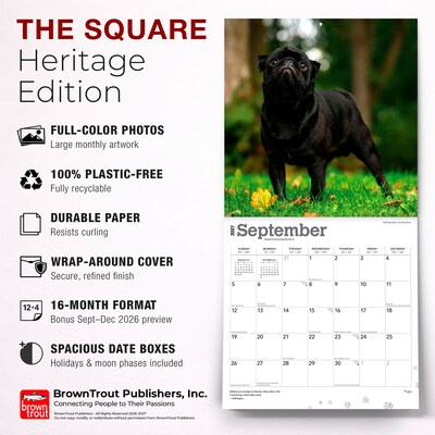 2027 BrownTrout Pugs 12" x 12" Monthly Wall Calendar (9798330712601)