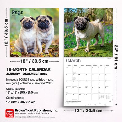 2027 BrownTrout Pugs 12" x 12" Monthly Wall Calendar (9798330712601)