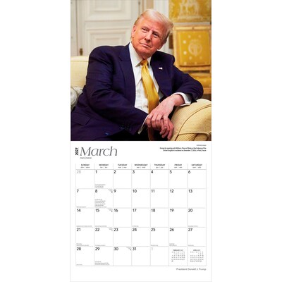 2027 BrownTrout President Donald J. Trump 12" x 12" Monthly Wall Calendar (9798330711192)