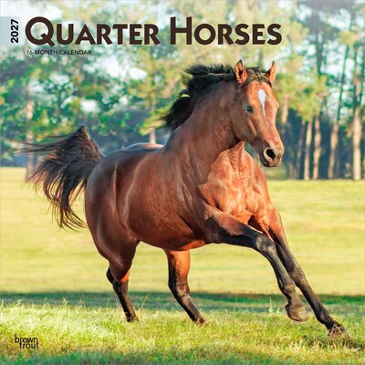 2027 BrownTrout Quarter Horses 12 x 12 Monthly Wall Calendar (9798330712014)