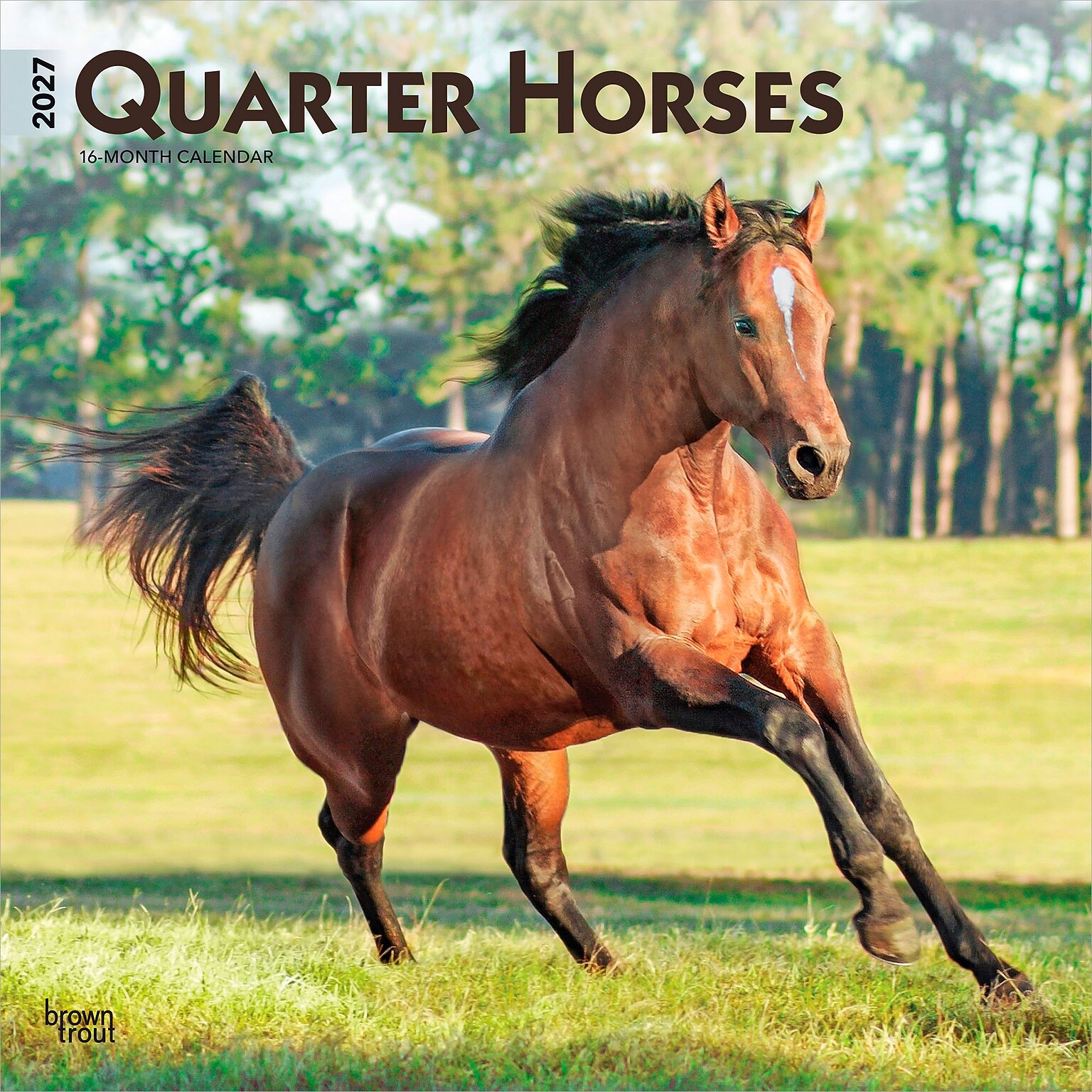 2027 BrownTrout Quarter Horses 12 x 12 Monthly Wall Calendar (9798330712014)