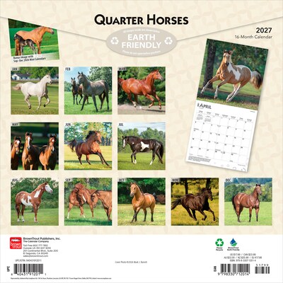 2027 BrownTrout Quarter Horses 12 x 12 Monthly Wall Calendar (9798330712014)