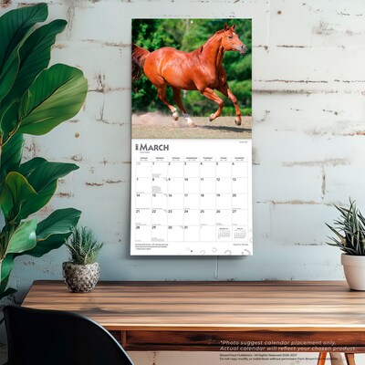 2027 BrownTrout Quarter Horses 12" x 12" Monthly Wall Calendar (9798330712014)