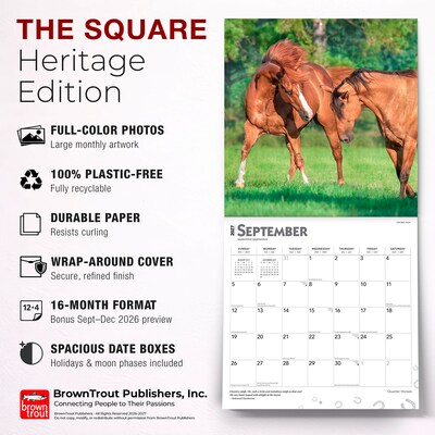 2027 BrownTrout Quarter Horses 12" x 12" Monthly Wall Calendar (9798330712014)
