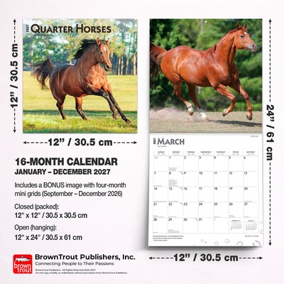 2027 BrownTrout Quarter Horses 12" x 12" Monthly Wall Calendar (9798330712014)