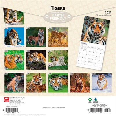 2027 BrownTrout Tigers 12 x 12 Monthly Wall Calendar (9798330712120)