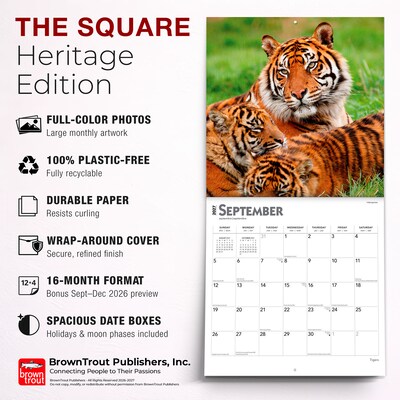 2027 BrownTrout Tigers 12" x 12" Monthly Wall Calendar (9798330712120)