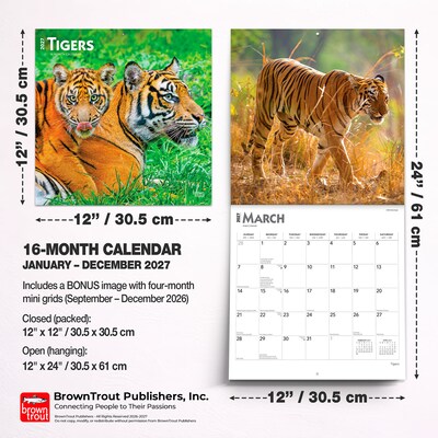 2027 BrownTrout Tigers 12" x 12" Monthly Wall Calendar (9798330712120)