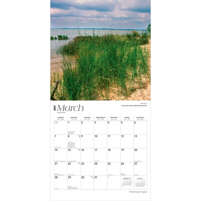 2027 BrownTrout Virginia Wild & Scenic 12" x 12" Monthly Wall Calendar (9798330710959)