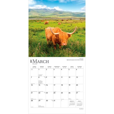 2027 BrownTrout Scotland 12" x 12" Monthly Wall Calendar (9798330711109)