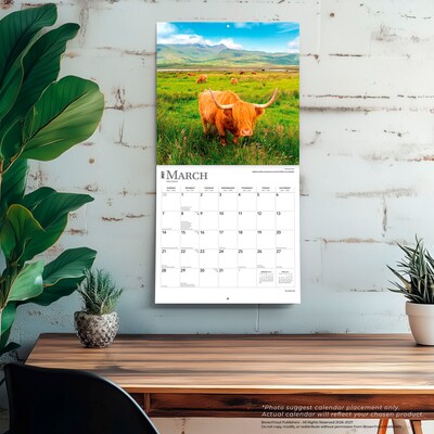 2027 BrownTrout Scotland 12" x 12" Monthly Wall Calendar (9798330711109)