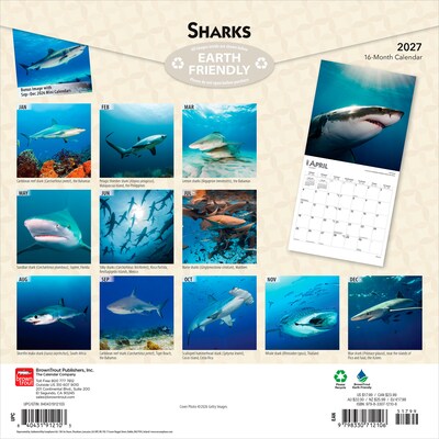 2027 BrownTrout Sharks 12 x 12 Monthly Wall Calendar (9798330712106)
