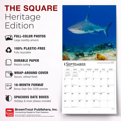 2027 BrownTrout Sharks 12" x 12" Monthly Wall Calendar (9798330712106)