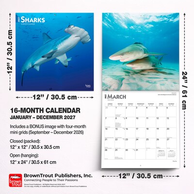2027 BrownTrout Sharks 12" x 12" Monthly Wall Calendar (9798330712106)