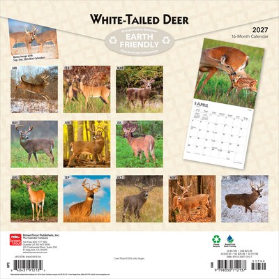 2027 BrownTrout White Tailed Deer 12 x 12 Monthly Wall Calendar (9798330712137)
