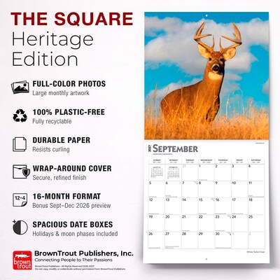 2027 BrownTrout White Tailed Deer 12" x 12" Monthly Wall Calendar (9798330712137)