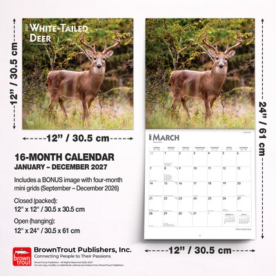 2027 BrownTrout White Tailed Deer 12" x 12" Monthly Wall Calendar (9798330712137)