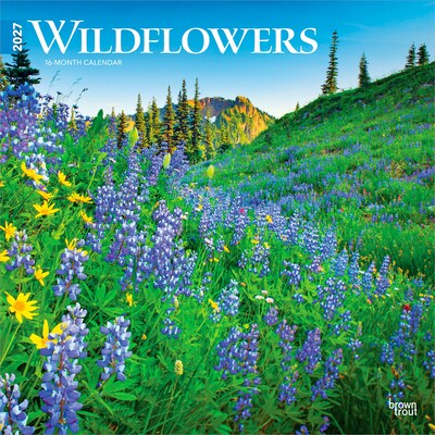 2027 BrownTrout Wildflowers 12 x 12 Monthly Wall Calendar (9798330711369)