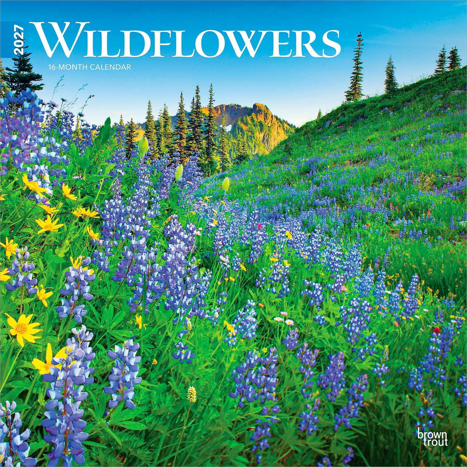 2027 BrownTrout Wildflowers 12 x 12 Monthly Wall Calendar (9798330711369)
