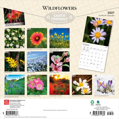 2027 BrownTrout Wildflowers 12 x 12 Monthly Wall Calendar (9798330711369)
