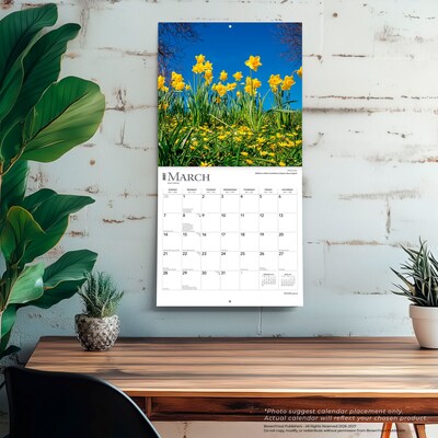 2027 BrownTrout Wildflowers 12" x 12" Monthly Wall Calendar (9798330711369)