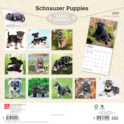 2027 BrownTrout Schnauzer Puppies 12 x 12 Monthly Wall Calendar (9798330714490)