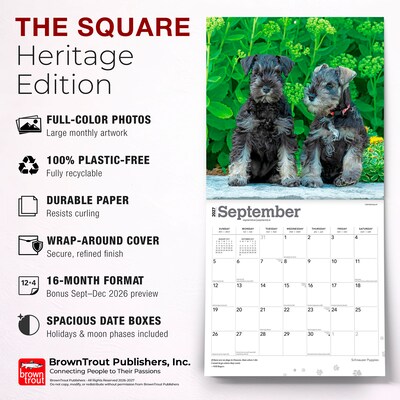 2027 BrownTrout Schnauzer Puppies 12" x 12" Monthly Wall Calendar (9798330714490)
