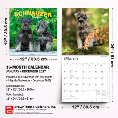 2027 BrownTrout Schnauzer Puppies 12" x 12" Monthly Wall Calendar (9798330714490)