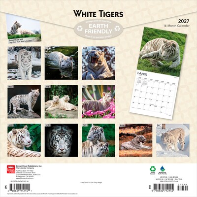 2027 BrownTrout White Tigers 12 x 12 Monthly Wall Calendar (9798330712144)