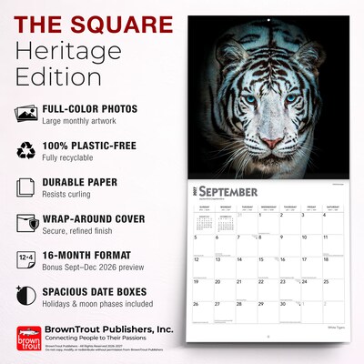 2027 BrownTrout White Tigers 12" x 12" Monthly Wall Calendar (9798330712144)