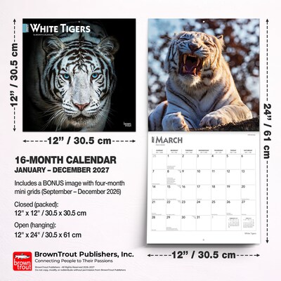 2027 BrownTrout White Tigers 12" x 12" Monthly Wall Calendar (9798330712144)
