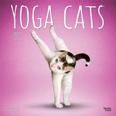 2027 BrownTrout Yoga Cats 12 x 12 Monthly Wall Calendar (9798330713509)