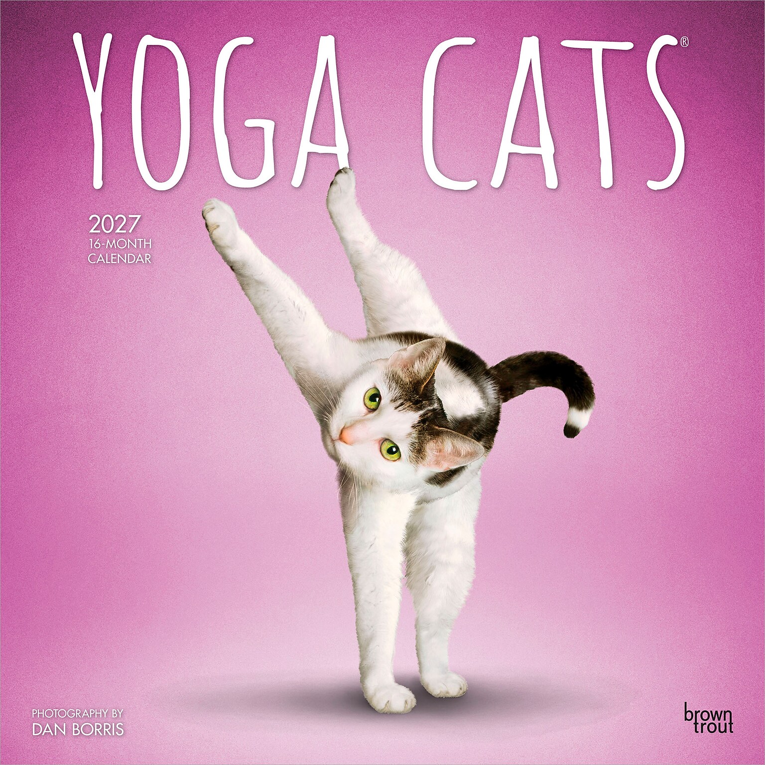 2027 BrownTrout Yoga Cats 12 x 12 Monthly Wall Calendar (9798330713509)