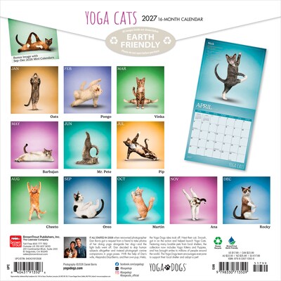 2027 BrownTrout Yoga Cats 12 x 12 Monthly Wall Calendar (9798330713509)