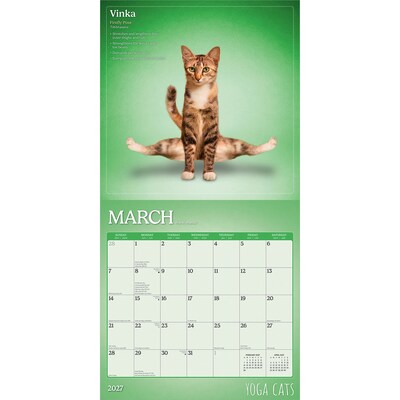 2027 BrownTrout Yoga Cats 12" x 12" Monthly Wall Calendar (9798330713509)