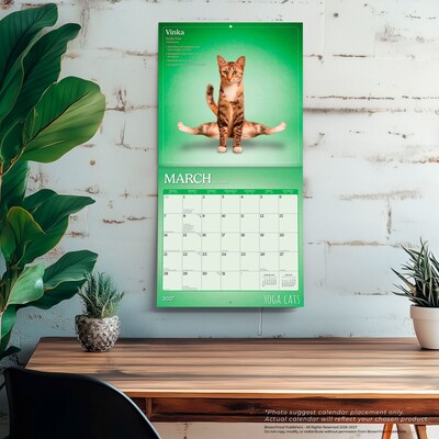 2027 BrownTrout Yoga Cats 12" x 12" Monthly Wall Calendar (9798330713509)