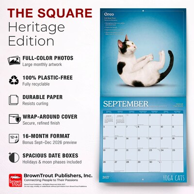 2027 BrownTrout Yoga Cats 12" x 12" Monthly Wall Calendar (9798330713509)