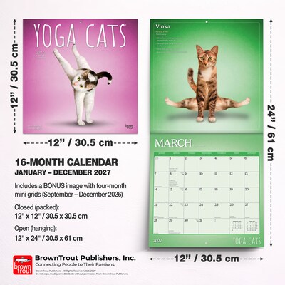 2027 BrownTrout Yoga Cats 12" x 12" Monthly Wall Calendar (9798330713509)