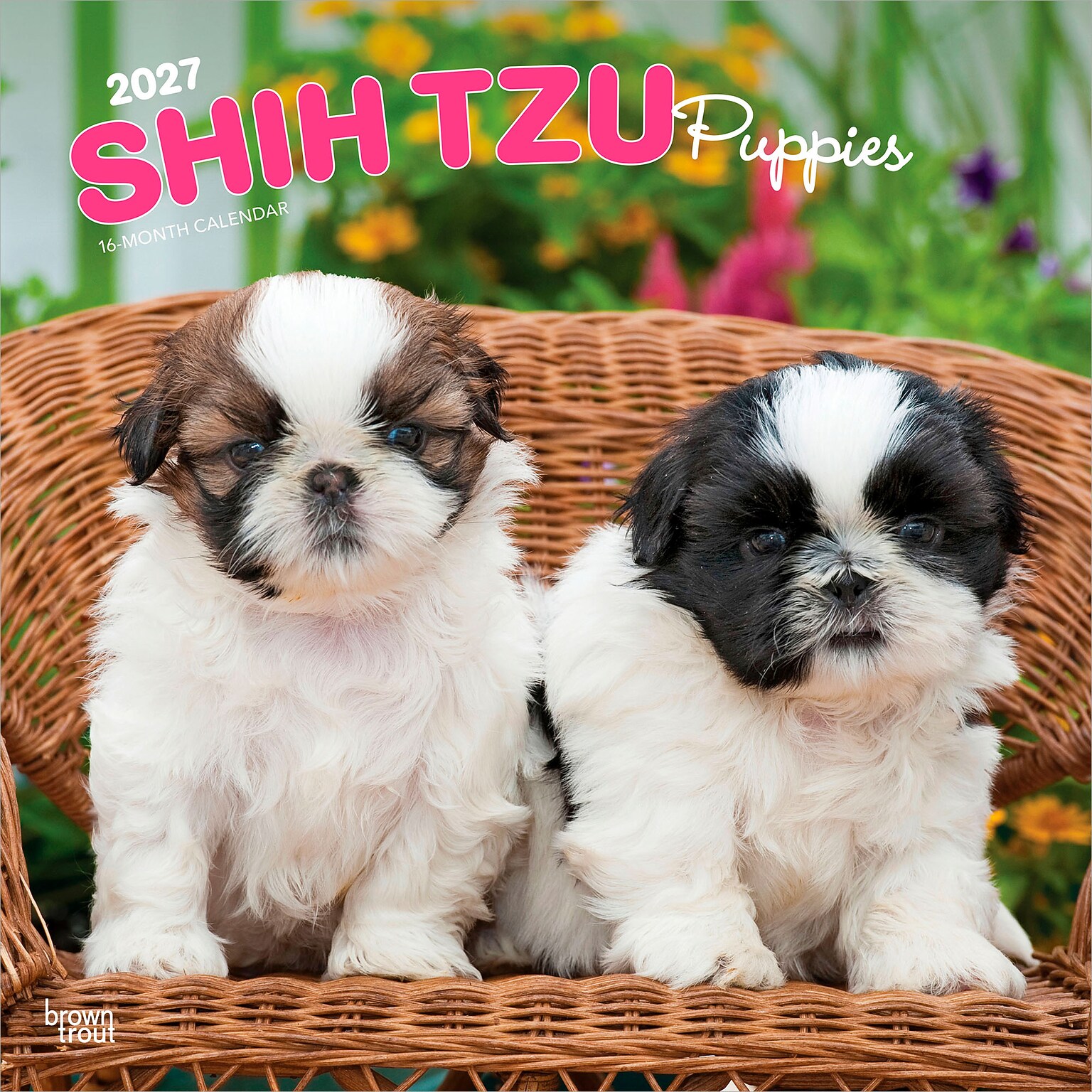 2027 BrownTrout Shih Tzu Puppies 12 x 12 Monthly Wall Calendar (9798330712687)