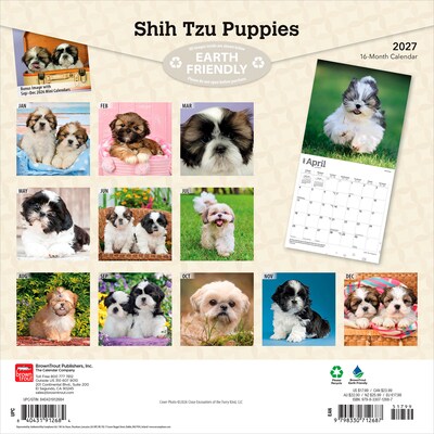 2027 BrownTrout Shih Tzu Puppies 12 x 12 Monthly Wall Calendar (9798330712687)