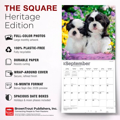 2027 BrownTrout Shih Tzu Puppies 12" x 12" Monthly Wall Calendar (9798330712687)