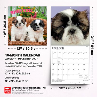 2027 BrownTrout Shih Tzu Puppies 12" x 12" Monthly Wall Calendar (9798330712687)